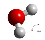 Water Molecule